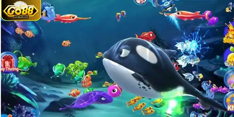 Luôn có kế hoạch chi tiết về vốn mua đạn