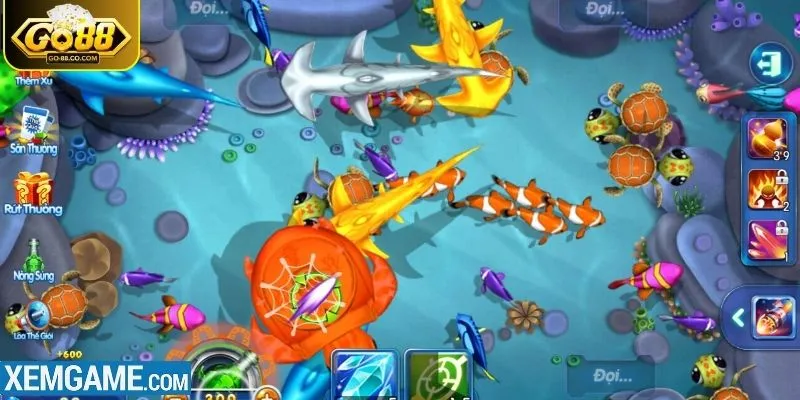 Quan sát bản đồ cá khi bắn